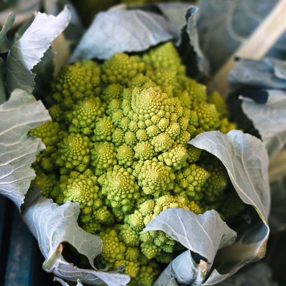 Sucesión de Fibonacci