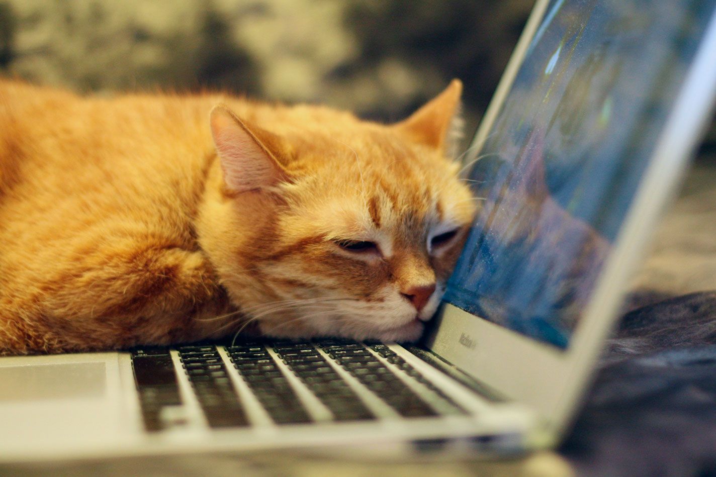 JavaScript M todos De Iteraci n Map Filter Reduce ForEach