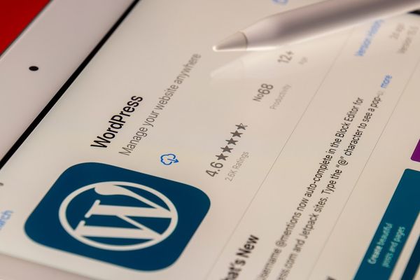 Guía para subir imágenes y PDFs a WordPress